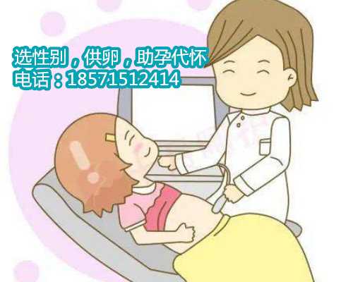 请关注日本试管婴儿报告的重点内容。