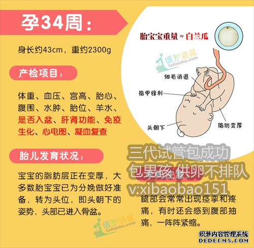 【上海代生孩子公司哪家好】试管婴儿取精子要禁欲2天还是8天比较好？