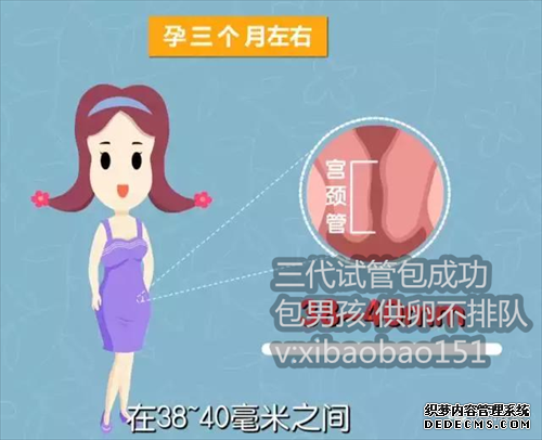 包成功广州助孕中心,去哪里找助孕母亲,最新的三代试管最好的医院排行